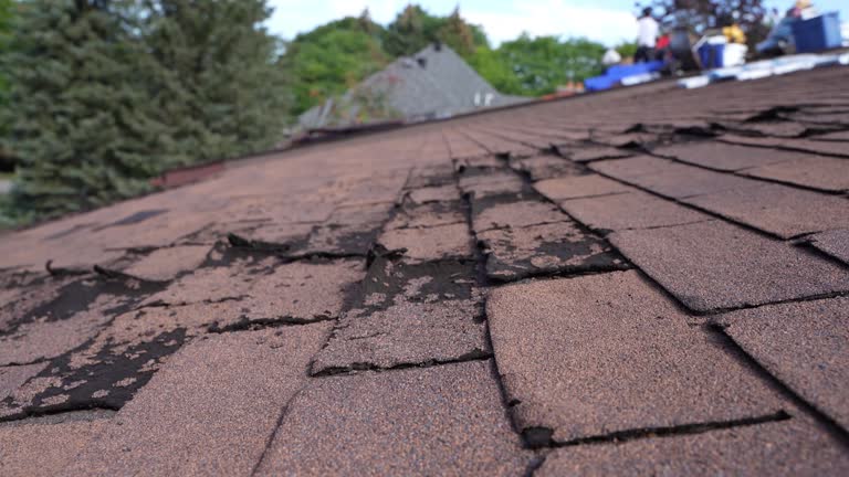 Best Sheet Metal Roofing  in New Eagle, PA