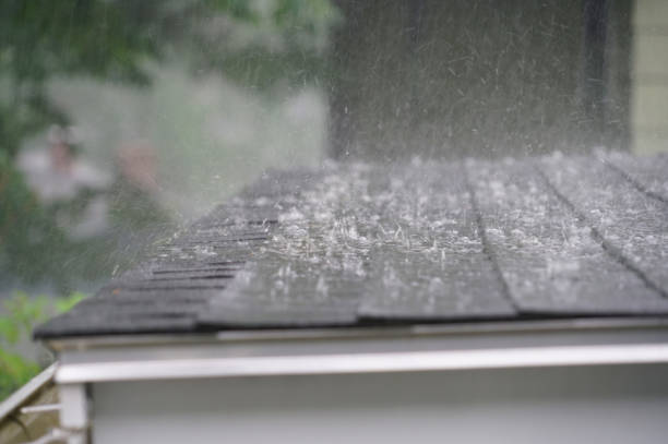Professional Roofing in New Eagle, PA